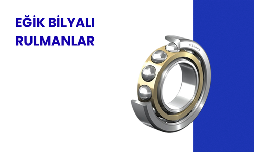Eğik Bilyalı Rulman