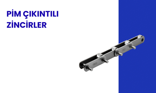 Pim Çıkıntılı Zincir