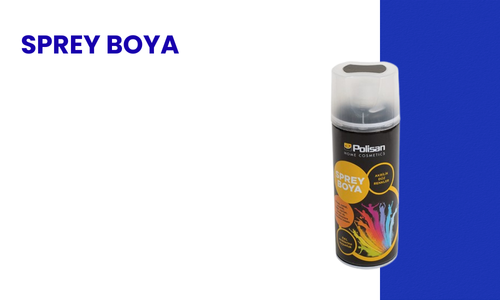 Sprey Boya